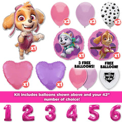 Paw Patrol Skye & Everest Deluxe Balloon Bouquet